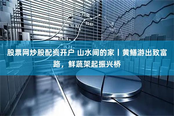 股票网炒股配资开户 山水间的家丨黄鳝游出致富路，鲜蔬架起振兴桥